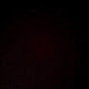 Meet your Posher, Ida